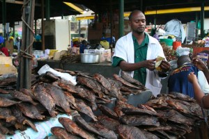 fish-notesfromcamelidcountry