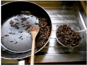 kristinschell-white-ants